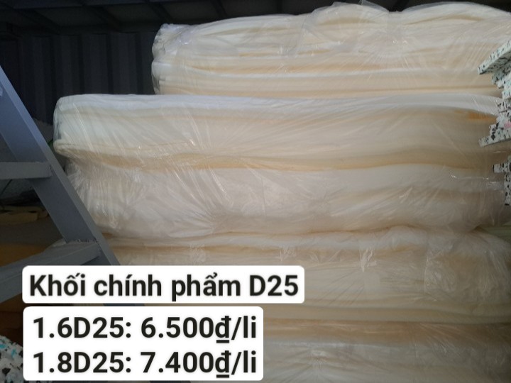 Khối chính phẩm D25